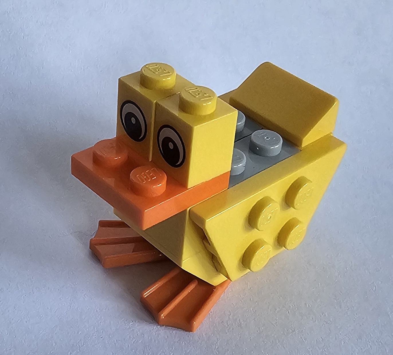 Duck Photo