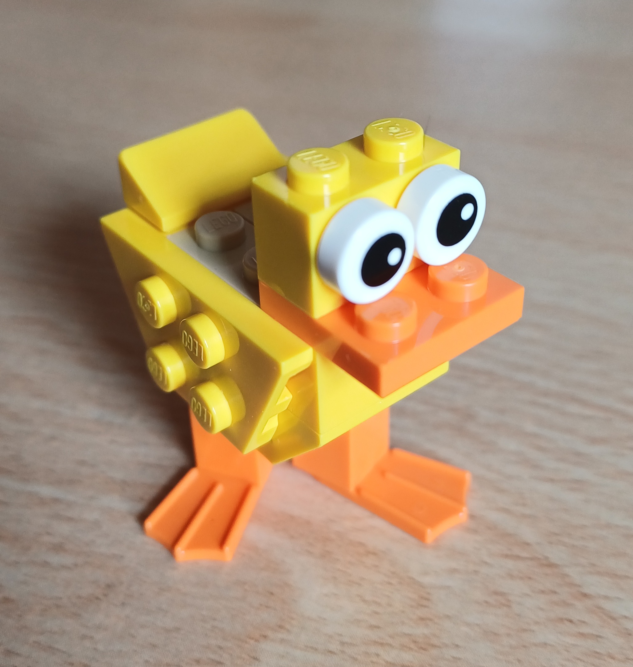 Duck Photo