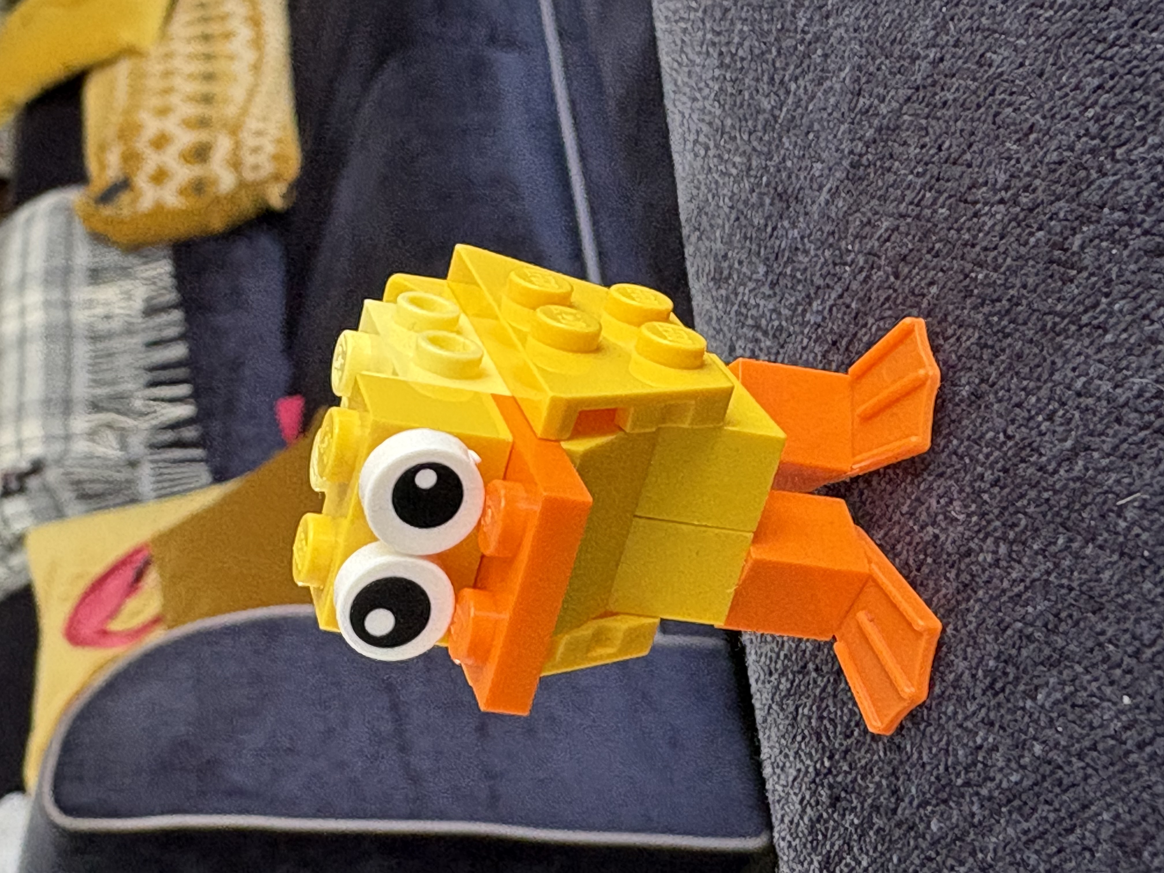 Duck Photo