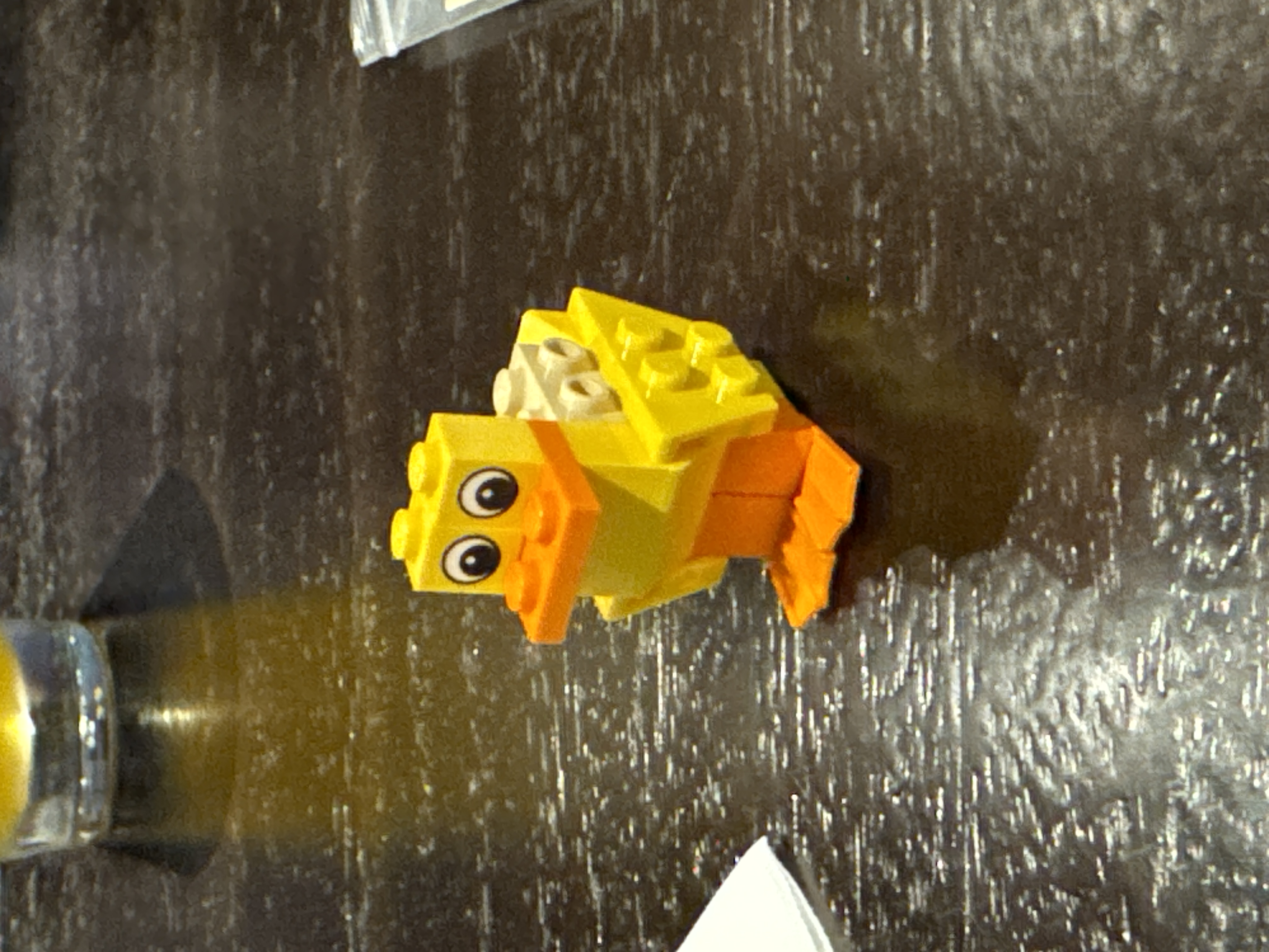 Duck Photo