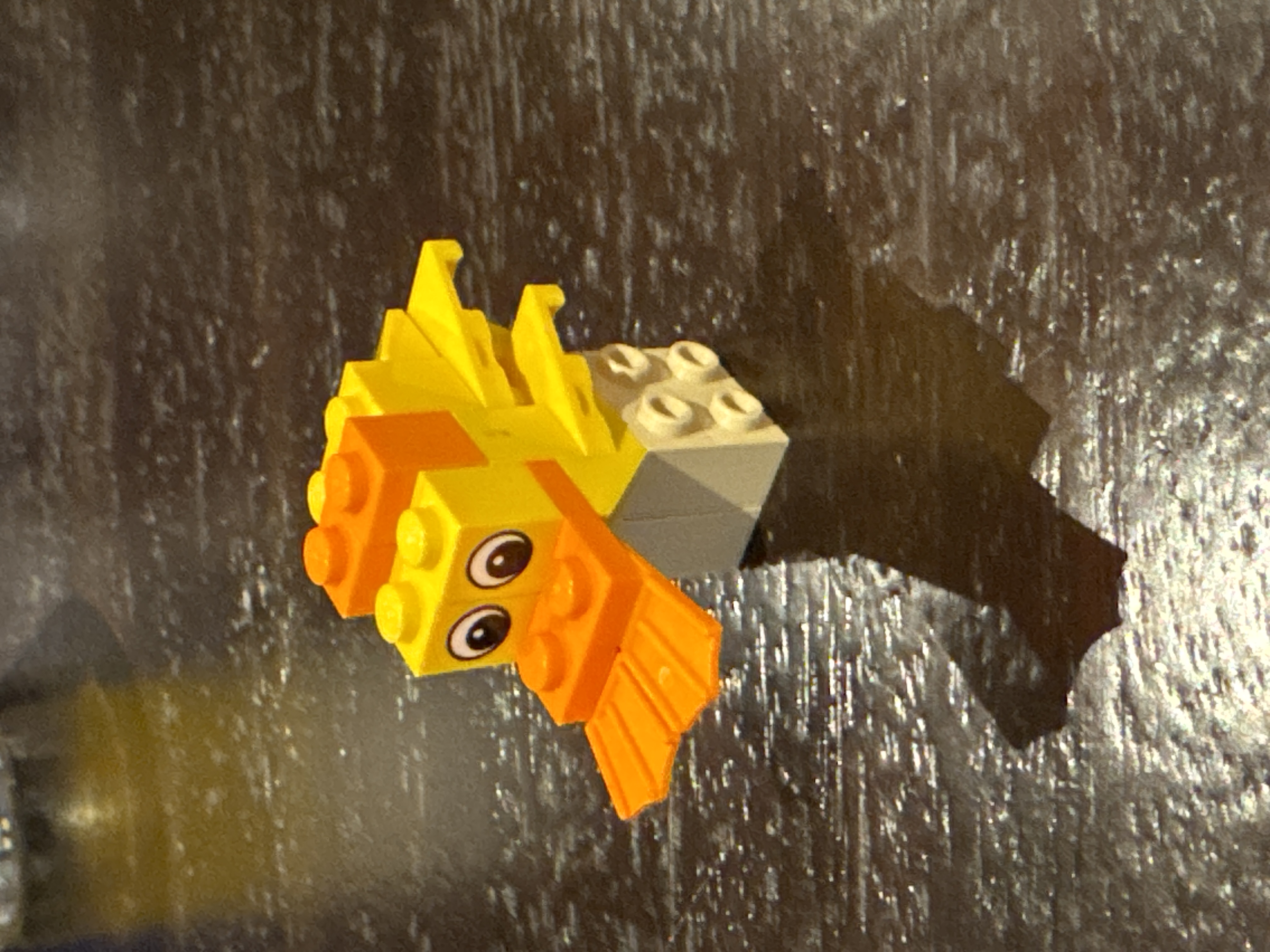 Duck Photo