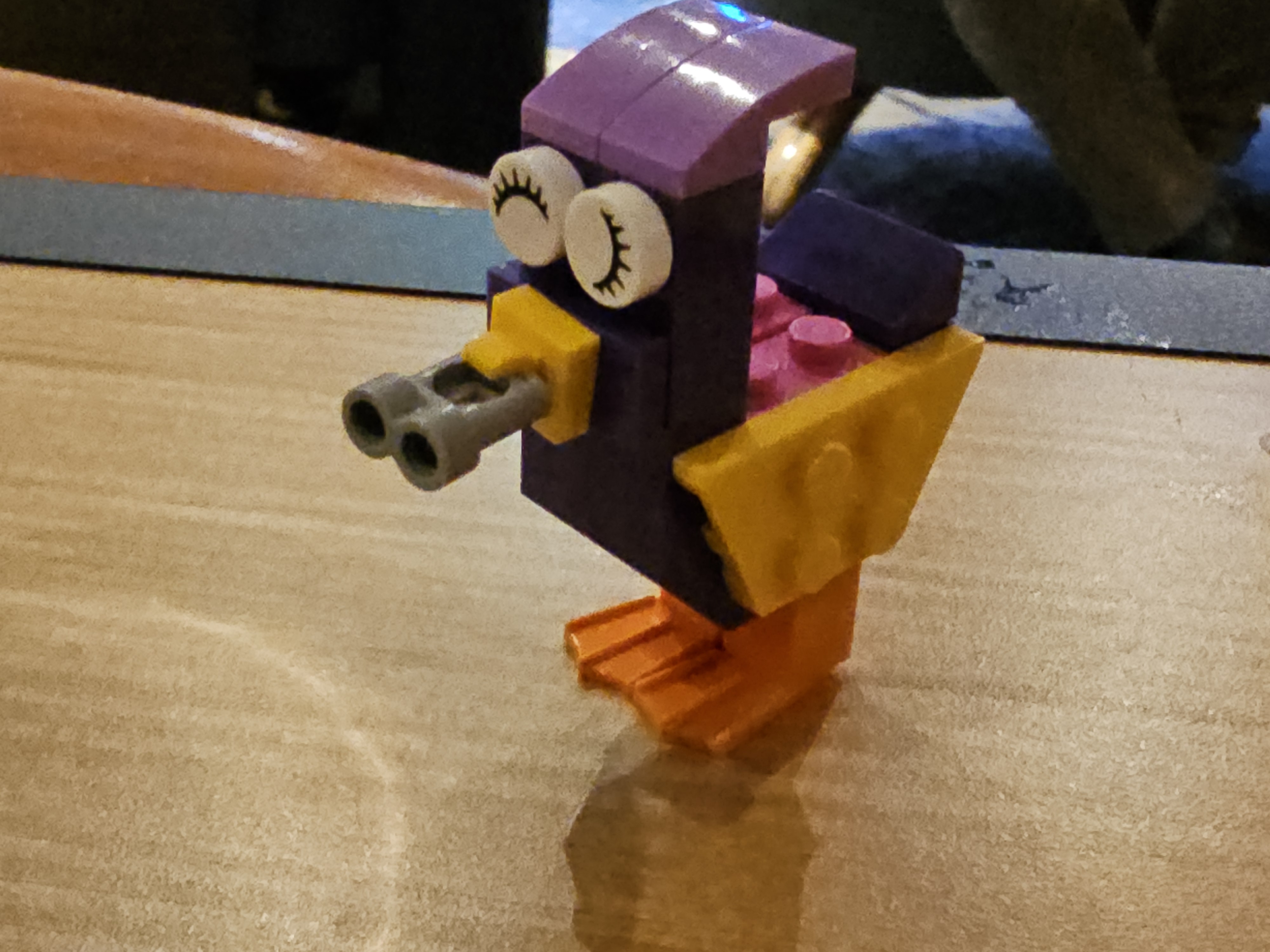 Duck Photo