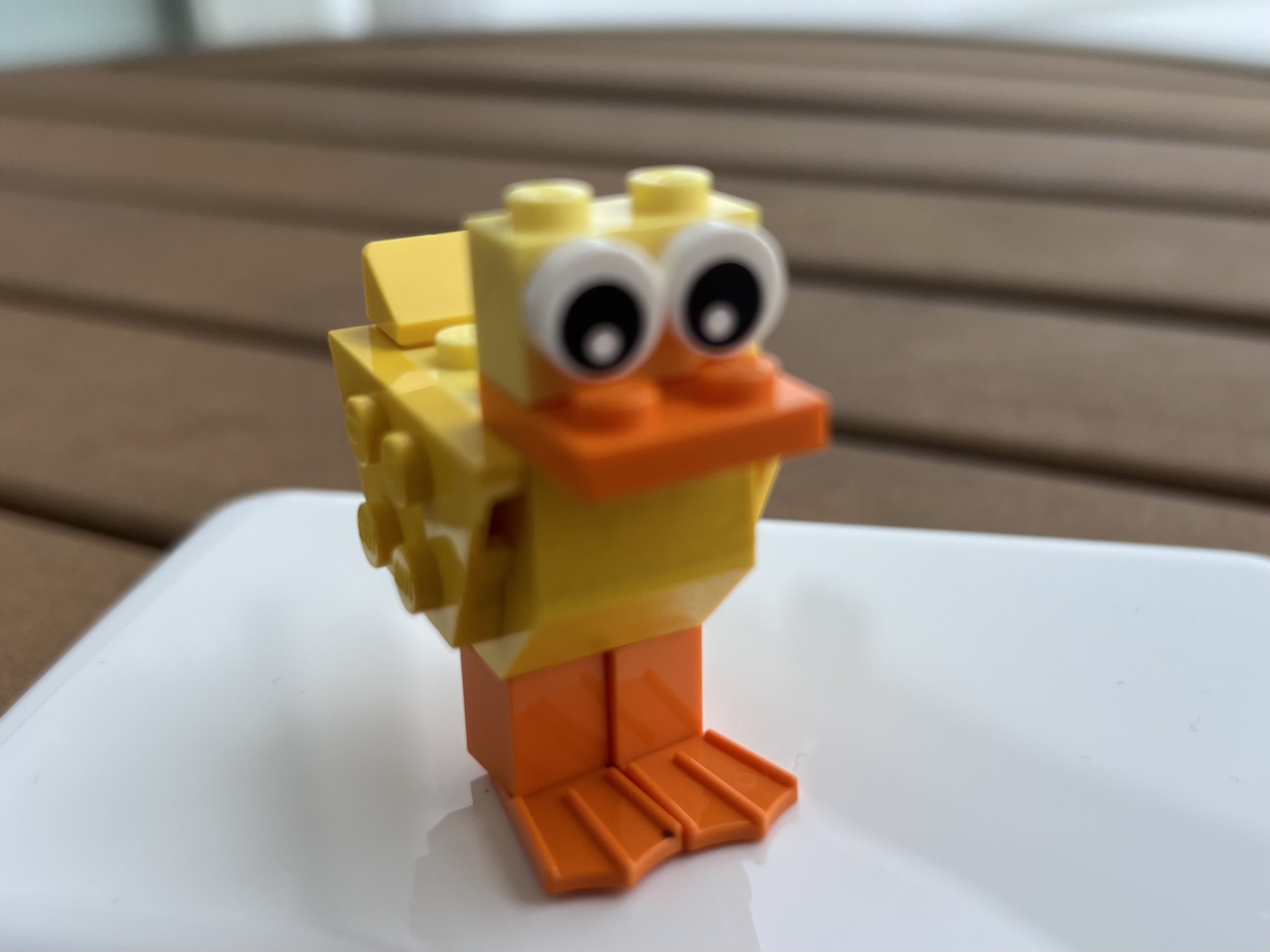 Duck Photo