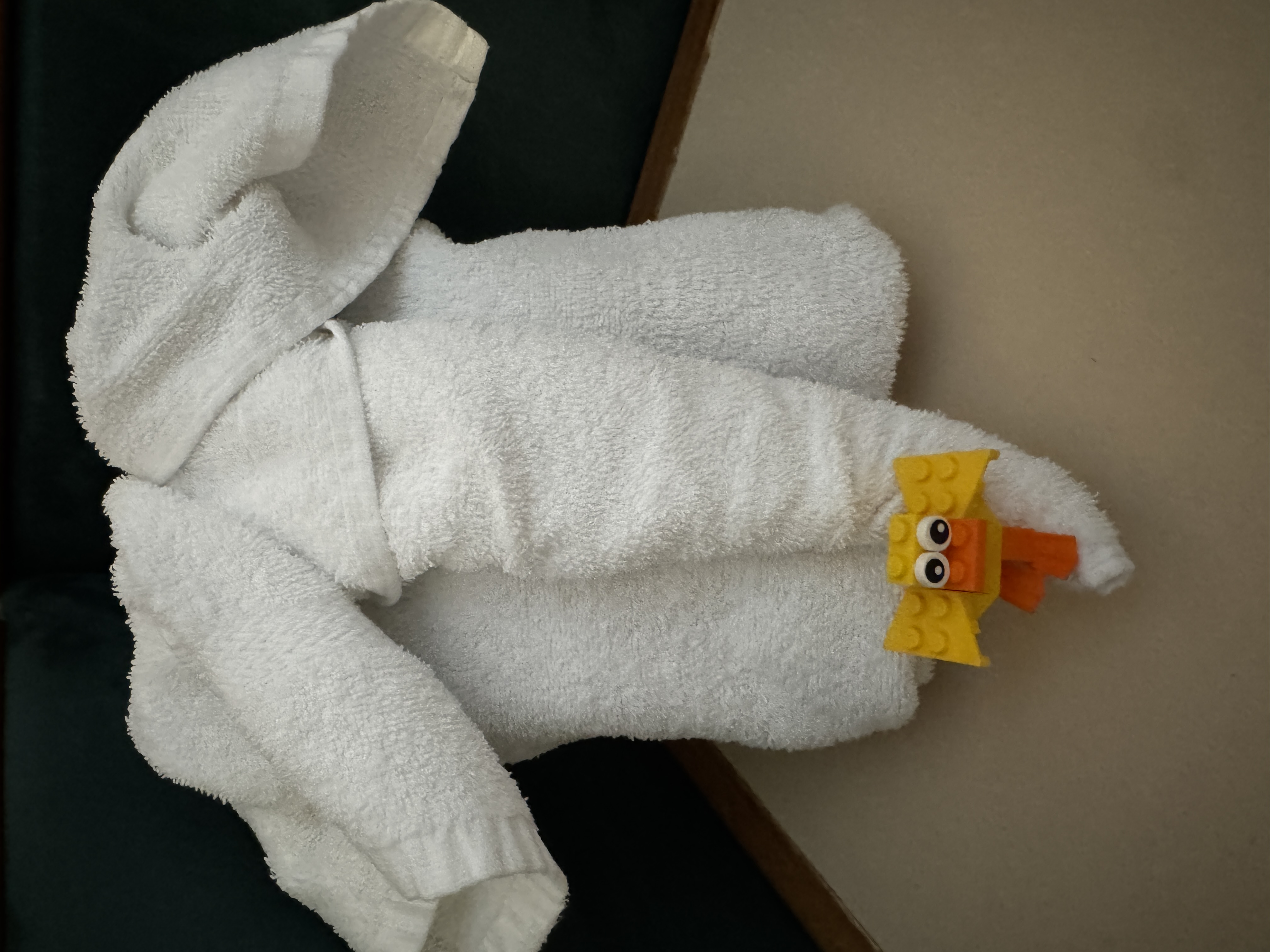 Duck Photo