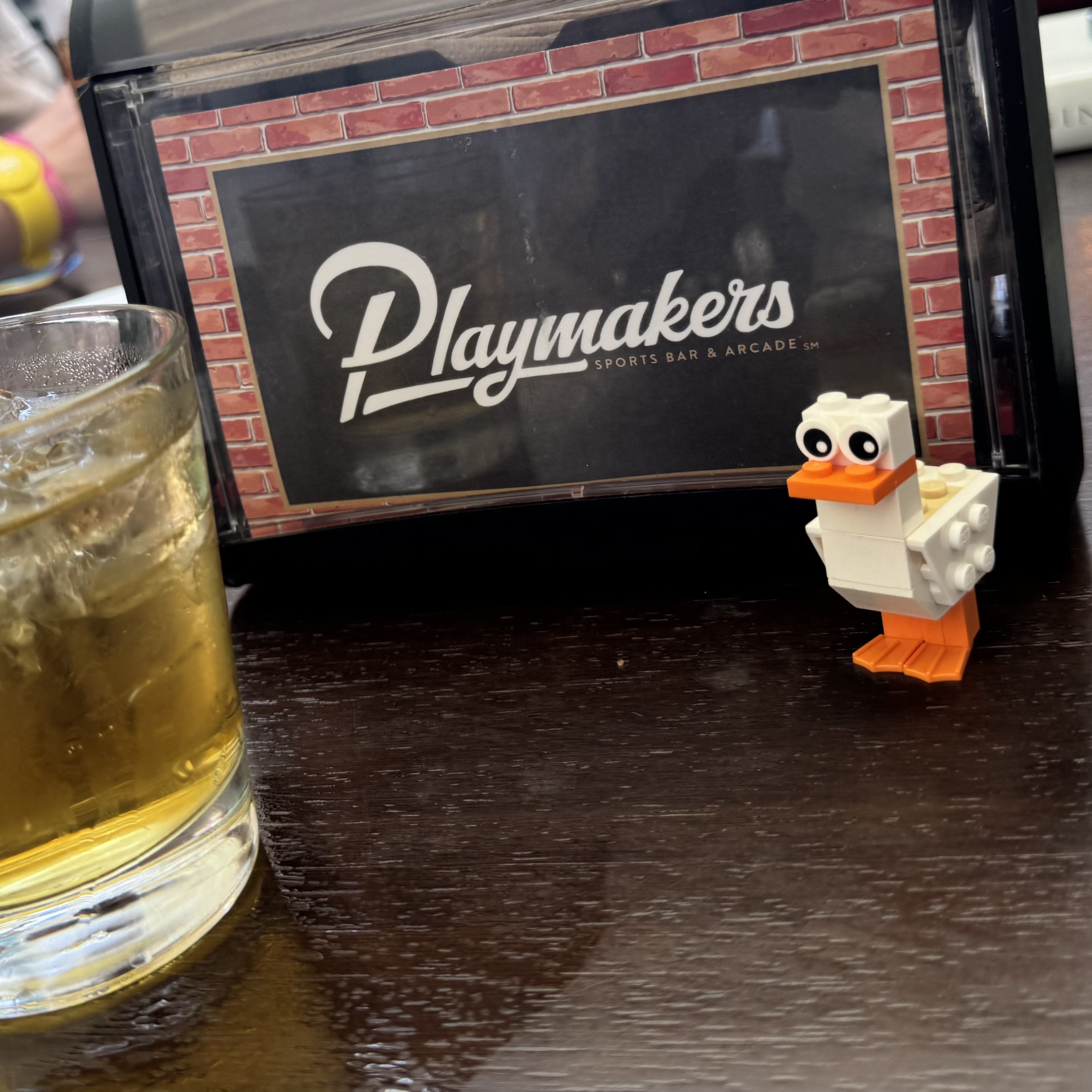 Duck Photo