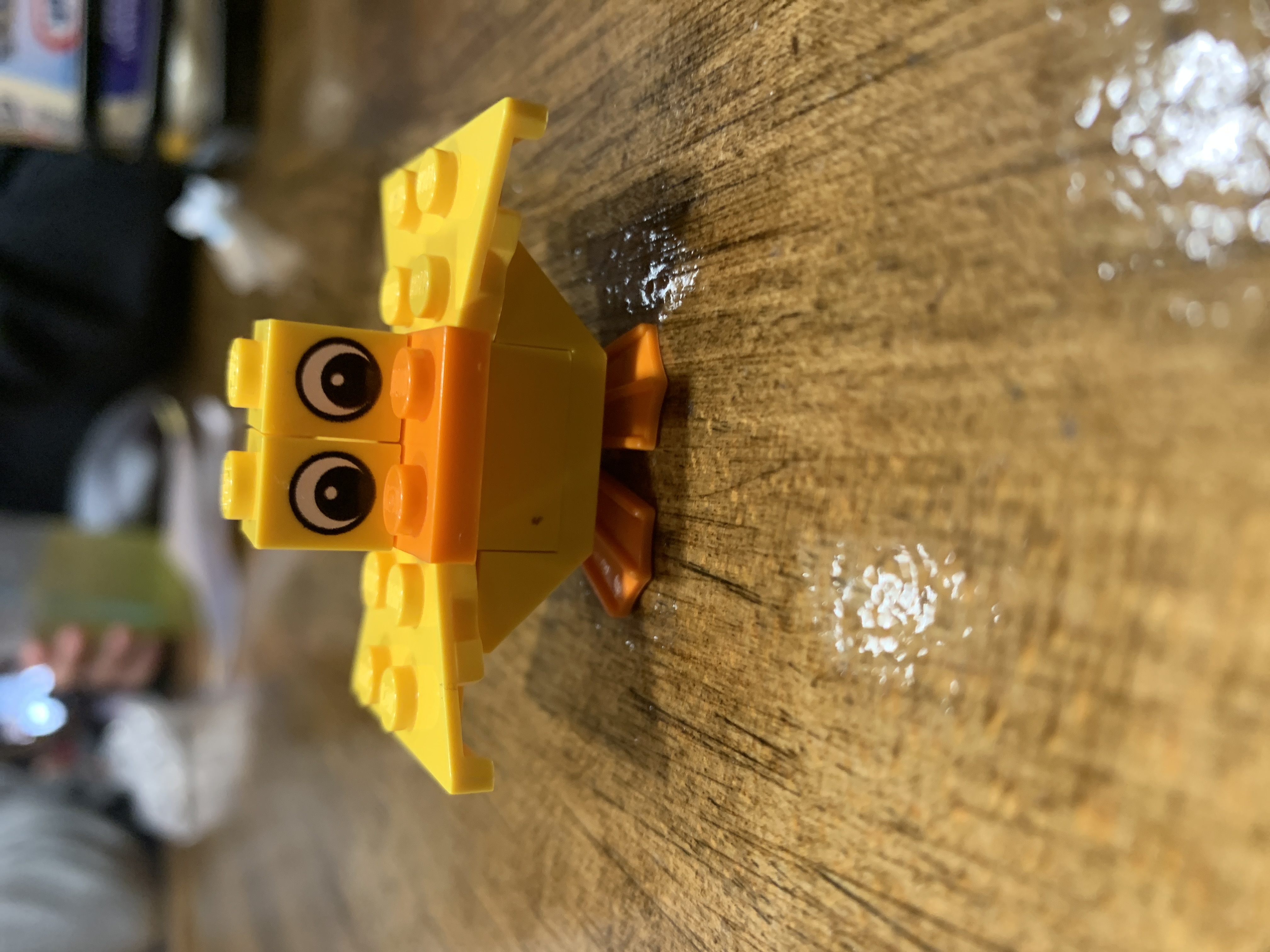 Duck Photo