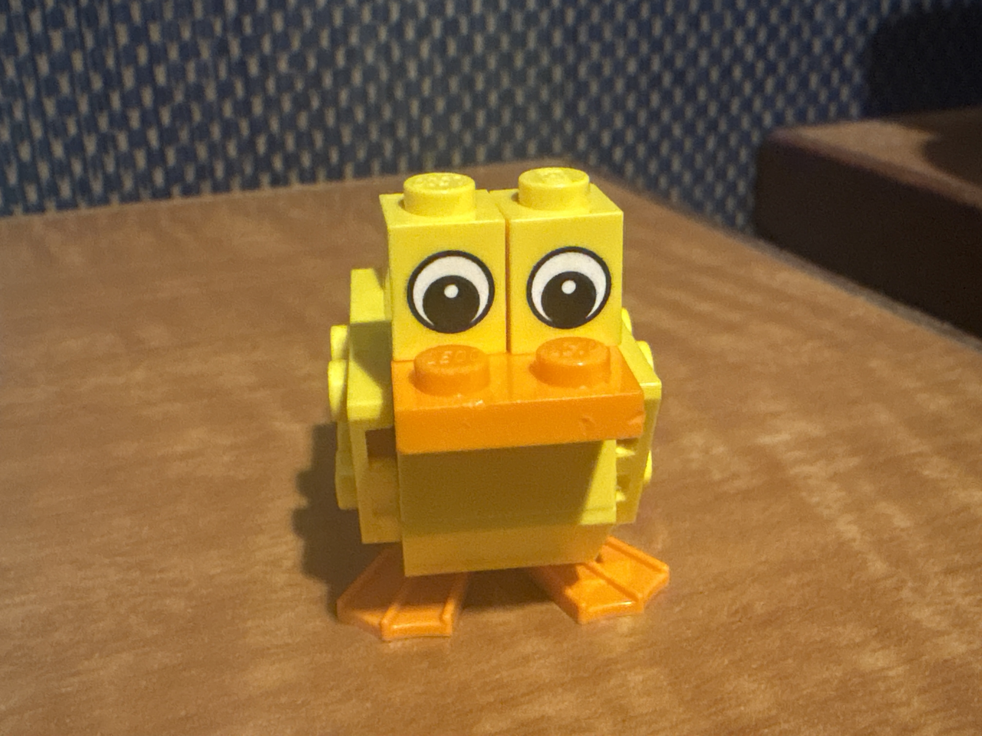 Duck Photo