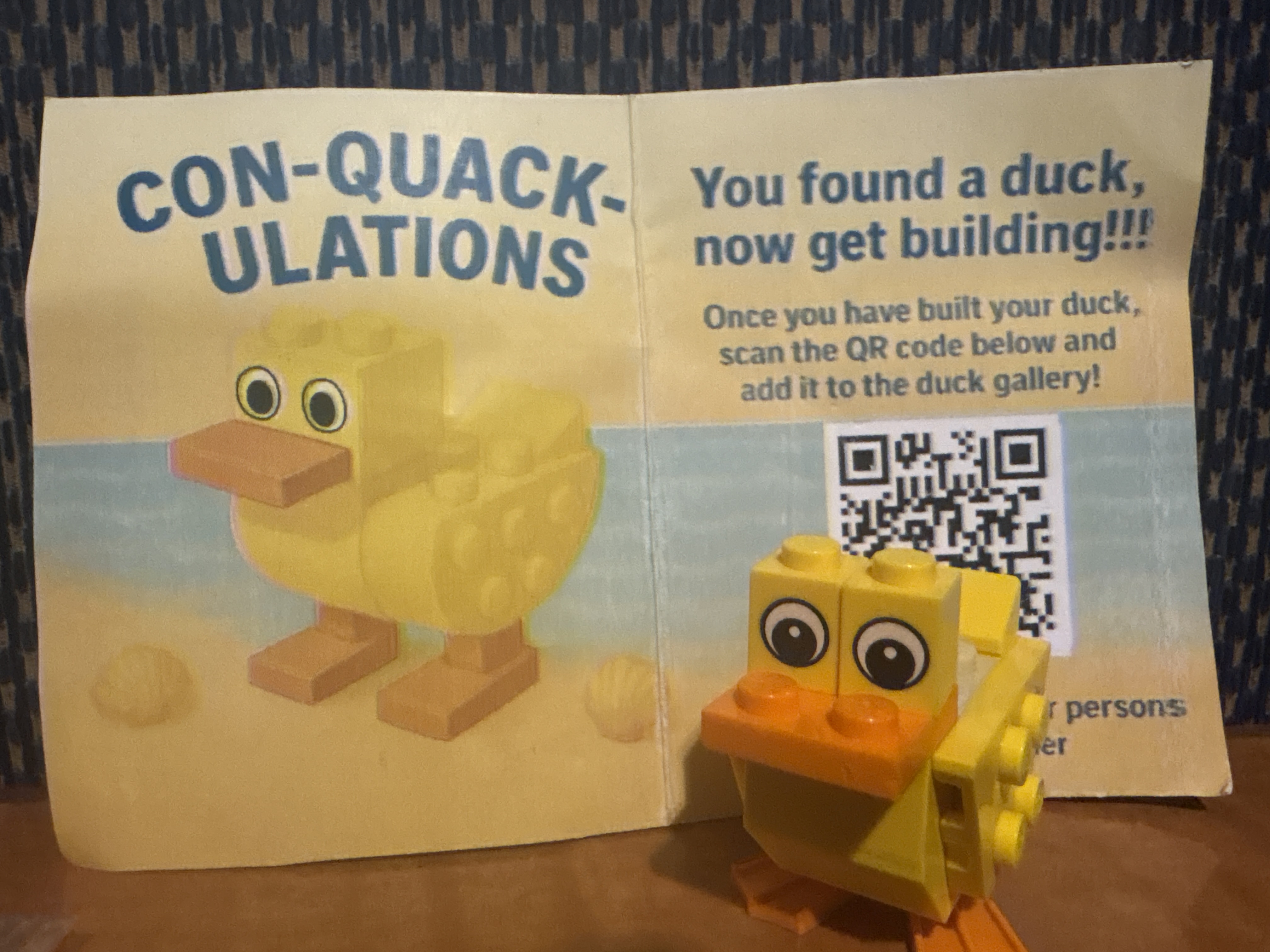 Duck Photo